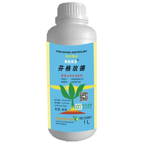 芬格玫德